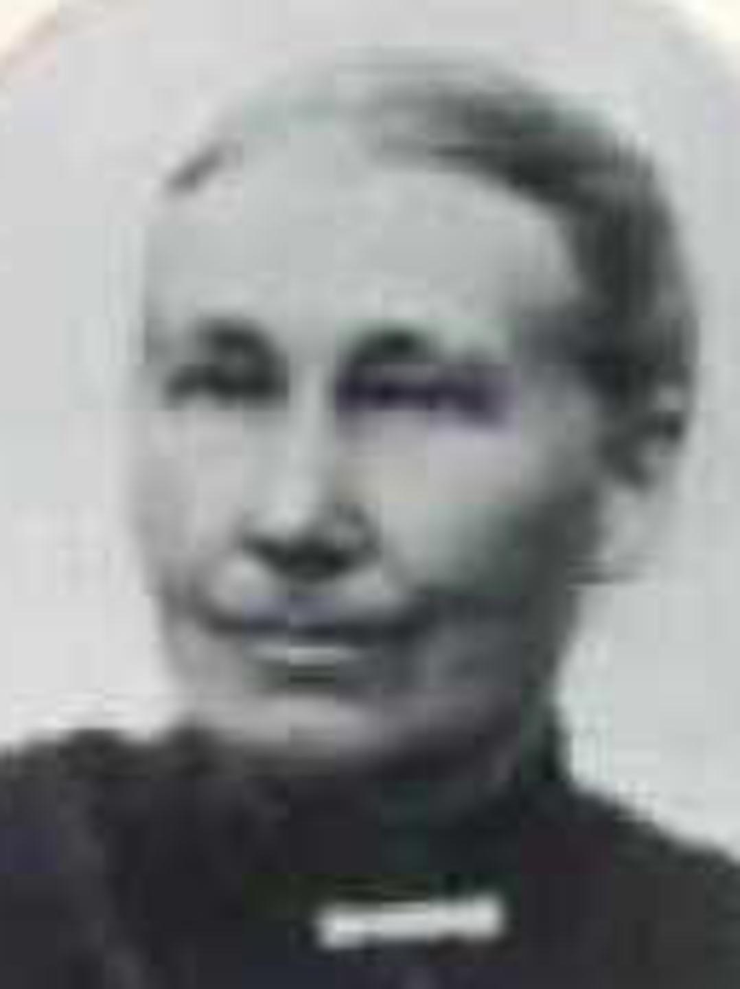 Sarah Mariah Hyde (1843 - 1926) Profile